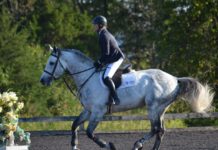 Tracy Fenney con la primera victoria del HITS Ocala 2018.