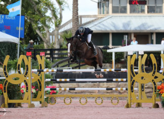 Andrew Kocher por ajustado margen gana el $35,000 Equiline Classic CSI2*