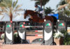 Diego Vivero se impuso en el $35,000 Douglas Elliman 1.45m Classic.