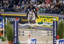 Felix Hassman inspirado en el Preis der Hengststation Paul Schockemöhle.