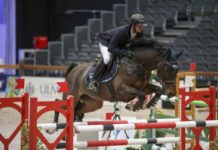 Felix Hassman por segunda clase consecutiva en el CSI3* Neumünster.