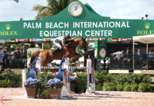 Francisco Mesquita Musa guió otra rebelión latina en el WEF 2018.