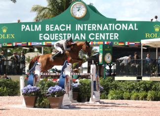 Francisco Mesquita Musa guió otra rebelión latina en el WEF 2018.