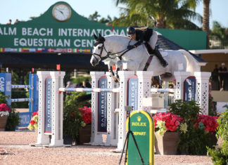 Kristen Vanderveen en rápida victoria del $35,000 Bainbridge 1.45m Jumper CSI5*.