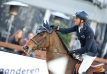 Luca Maria Moneta barre con la primera jornada del CSI5* Abu Dhabi.