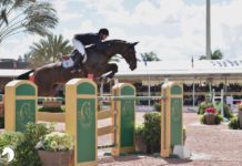 McLain Ward el mejor del $132,000 Equinimity WEF Challenge Cup Round V.