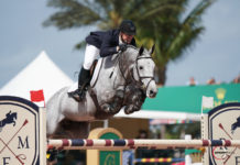McLain Ward ganó el $70,000 Hollow Creek Farm 1.50m Classic CSI 5*.