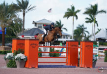 Paul O’Shea se impuso en el desempate del $50,000 Equiline Grand Prix CSI 2*.