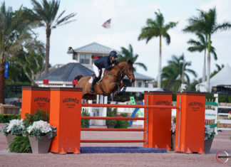 Paul O’Shea se impuso en el desempate del $50,000 Equiline Grand Prix CSI 2*.