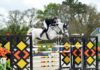 Tracy Fenney reluciente en el $100,000 Kindredbio Grand Prix de Ocala.