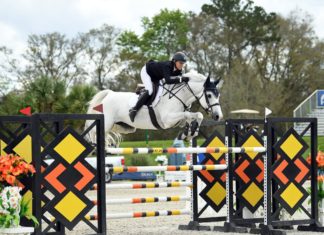 Tracy Fenney reluciente en el $100,000 Kindredbio Grand Prix de Ocala.