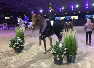 Wilm Vermeir lideró en casa el Prijs Stephex Horsetrucks.