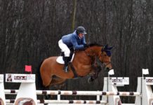 Charlotte Bettendorf cabalgó el Preis von Nordhein-Westfalen del CSI4* Dortmund.