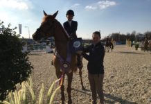 Elisa Strubbe sorprende en el €24.700 Prijs Stephex del CSI2* Lier.