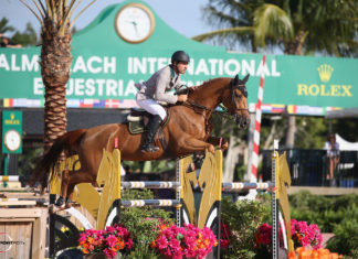Francisco Mesquita Musa guía el uno-dos brasileño en la última semana del WEF 2018.