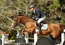 Francois Esteves Da Silva inalcanzable en el CSI4* Clásico Querétaro de Balvanera.