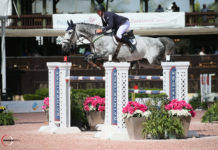 Jordan Coyle se impuso en el $35,000 Wanderers Club 1.45m CSI2*.