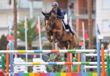 Katharina Offel por segunda semana gana el CSI2* Oliva Nova Grand Prix.