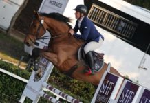 Nicolas Desuezes domina en casa el Royan Horse Competiton Grand Prix.
