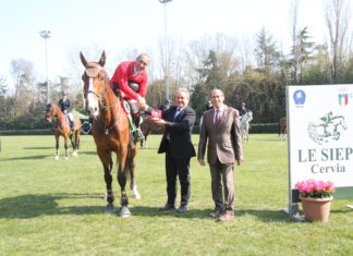 Paolo Adorno inspirado en casa gana el CSI2* Grand Prix Le Siepi Adriatic Tour.
