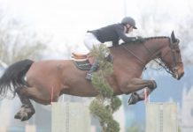 Peter Moloney sólido en el €24.700 Gold FT del CSI3* Arezzo.