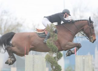 Peter Moloney sólido en el €24.700 Gold FT del CSI3* Arezzo.
