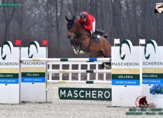 Pius Schwizer muy cómodo en el CSI2* Masheroni Selleria Grand Prix.