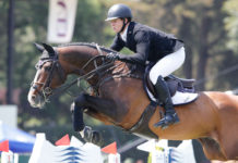 Shane Sweetnam se lleva el Broxel Trophy del LGCT Mexico 2018.