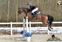 Thibault Philippaerts con el CSI2* Equieffe Classics Grand Prix.