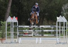 Werner Muff triunfa en el Grand Prix Le Siepi Adriatic Tour CSI2*.