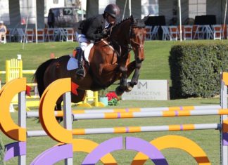 Will Simpson voló en el $35,000 CSI 3* 1.45m Gold Tour Welcome Speed Stake.