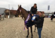 Wilm Vermeir sigue inspirado y gana en el CSI2* Lier – Azelhof Tour 2018.