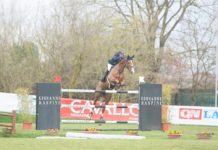 Cameron Hanley el irlandés volador en Arezzo.