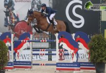 Daniel Deusser eclipsó el €50.000 CSI3* Grand Prix Jumping Bonheiden.