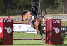 Harold Boisset cerró el CSI4* Silver Tour Final del Toscana Tour 2018 en Arezzo.