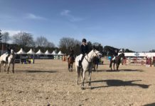 Marit Haarr Skollerud se llevó la victoria en el Zangersheide Z-Tour 2018.
