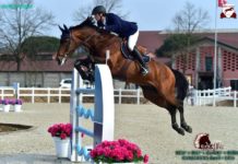 Martin Fuchs se queda con el Gran Premio del CSI2* Gorla Minore.