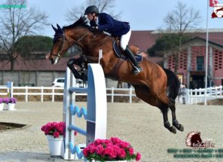 Martin Fuchs se queda con el Gran Premio del CSI2* Gorla Minore.