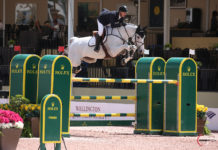 McLain Ward gana el $382,800 Longines Grand Prix of New York.