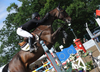 Richard Howley y Cruising Star guían las Dos Rondas en Moorsele.
