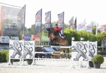Gilles Thomas con los máximos honores en el CSI2* Grand Prix Jumping Bonheiden.