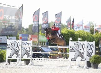 Gilles Thomas con los máximos honores en el CSI2* Grand Prix Jumping Bonheiden.