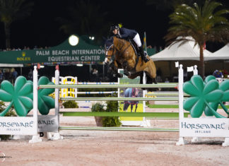 Amanda Derbyshire gana el décimo Gran Premio del WEF 2019.