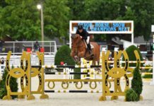 Kevin Babington los más rápidos en Devon.