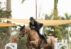 Beat Mändli y Vic des Cerisiers definieron temprano el $72,900 Suncast Grand Prix Qualifier.