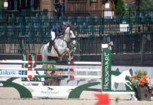 Darragh Kerins y Skara Glen’s Para Bellum conquistan el $30,000 Sunday Jumper Classic.
