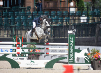 Darragh Kerins y Skara Glen’s Para Bellum conquistan el $30,000 Sunday Jumper Classic.