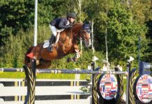 Marlon Módolo Zanotelli cierra con victoria el LGCT Valkenswaard 2020.