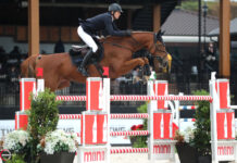 Beat Mändli gana el $137,000 Coca-Cola Grand Prix CSI3*.