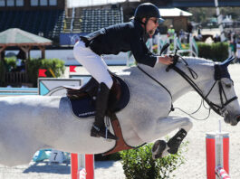 Karl Cook y Caillou 24 los ganadores del $137,000 MD Barnmaster Grand Prix CSI3*.